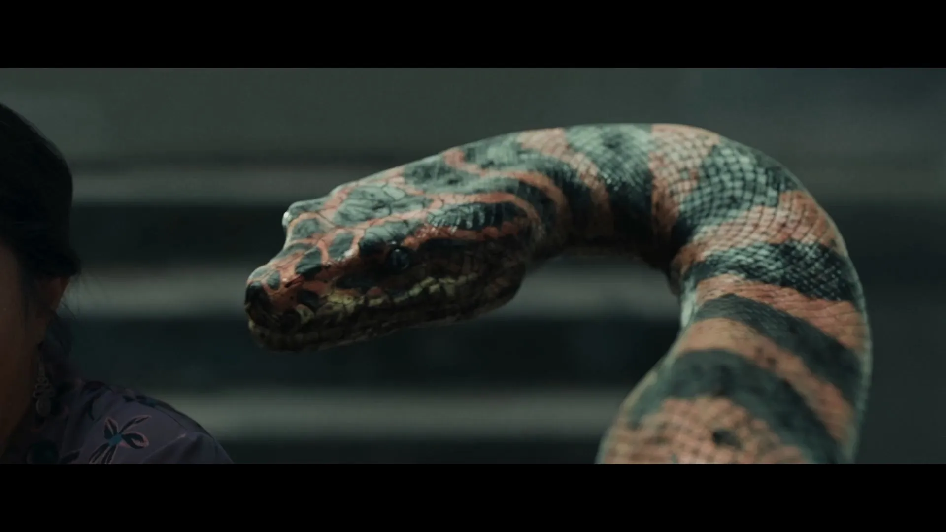 Snake Woman 2025 Dual Audio WEB-DL | Hindi Full Movie screenshot